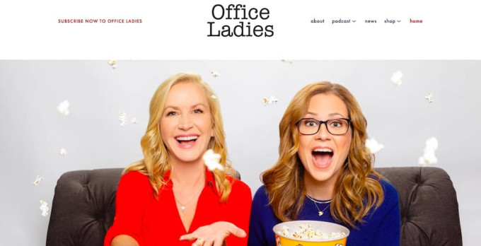 Screenshot of the Office Ladies website homepage