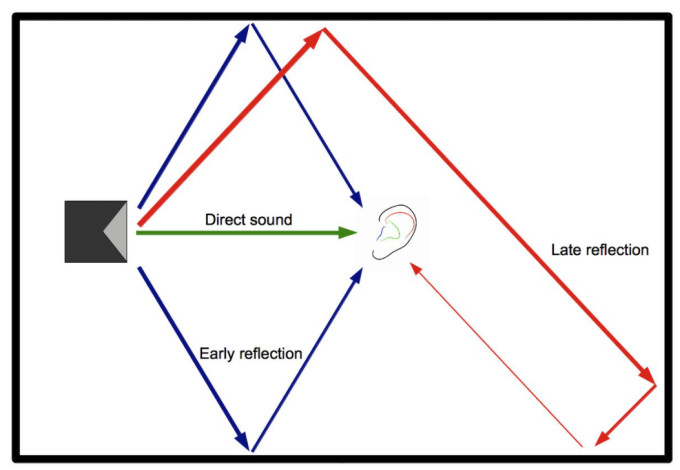 Reverberation diagram