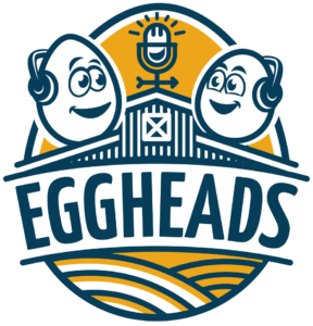 Eggheads