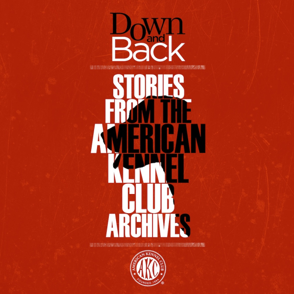 down and back podcast cover art