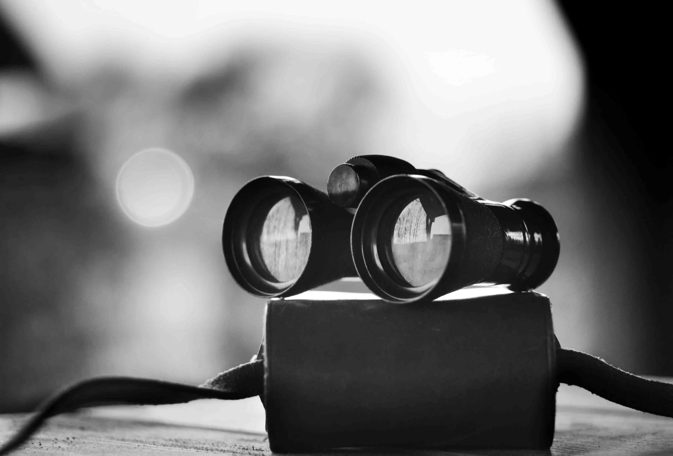 black and white image of binoculars