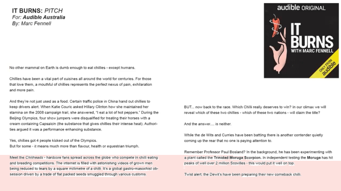 a one page pith document to pitch the It Burns narrative podcast series